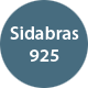 Sidabro moneta įkvėpta senųjų baltų segių Sidabro moneta įkvėpta senųjų baltų segių