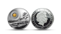 Gryno sidabro moneta „Baltijos gintaras“
