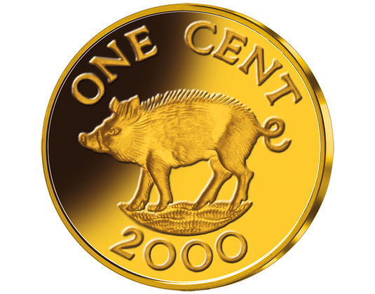 Kiaulės moneta