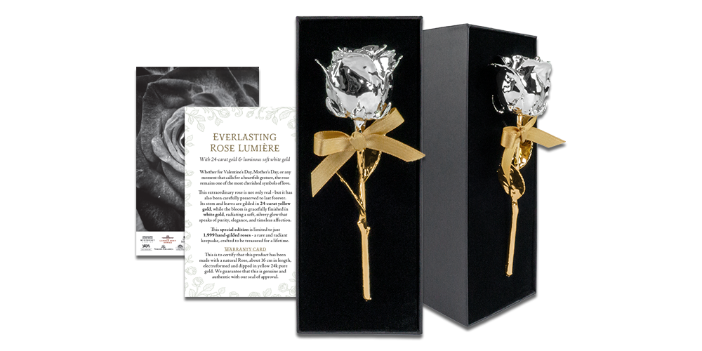 Tikra rožė padengta geltonu ir baltu auksu