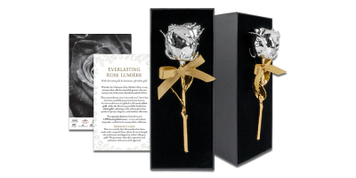 Tikra rožė padengta geltonu ir baltu auksu